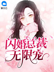 闪婚总裁无限宠